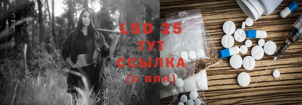 сатива Богданович