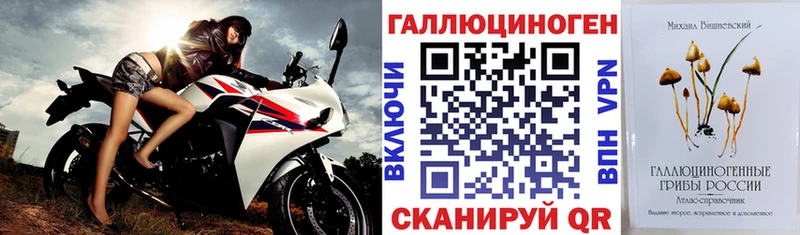 kraken   Бирск  Галлюциногенные грибы Psilocybine cubensis 